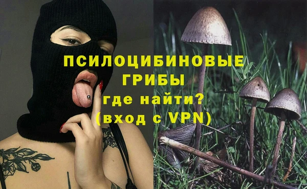 ECSTASY Кукмор