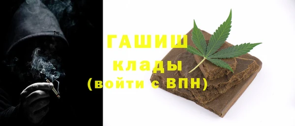 гидра Няндома