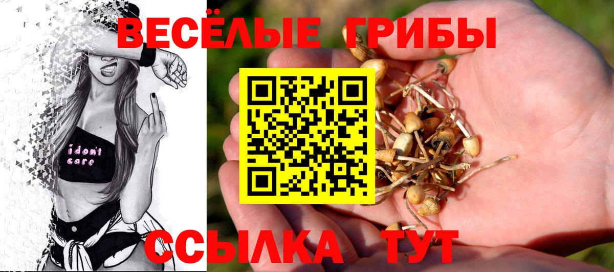 Котлас  Галлюциногенные грибы мицелий  Вход с VPN 