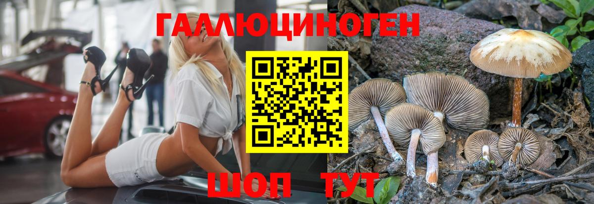 Псилоцибиновые грибы мицелий  Котлас 